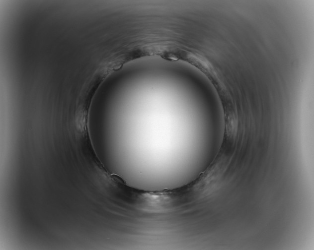X0000088920477200706081402