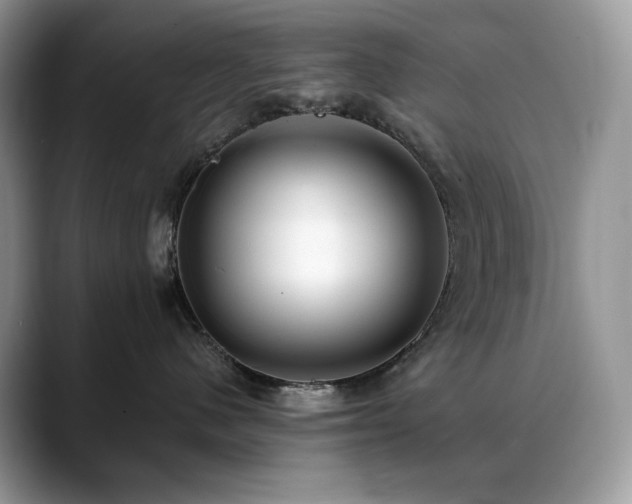 X0000088920480200706081402
