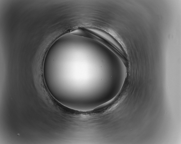 X0000088920481200706081402