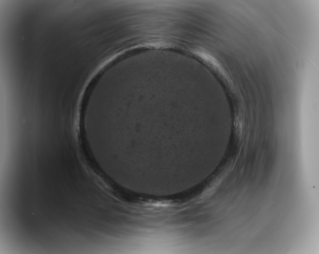 X0000088920484200706081402
