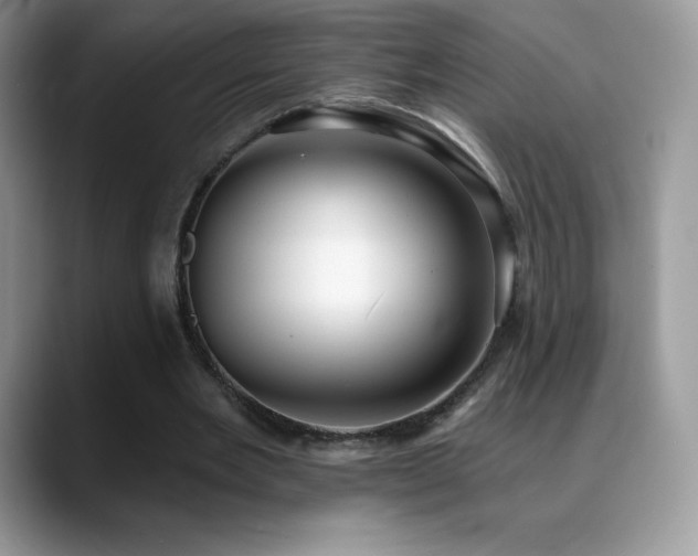 X0000088920485200706081402