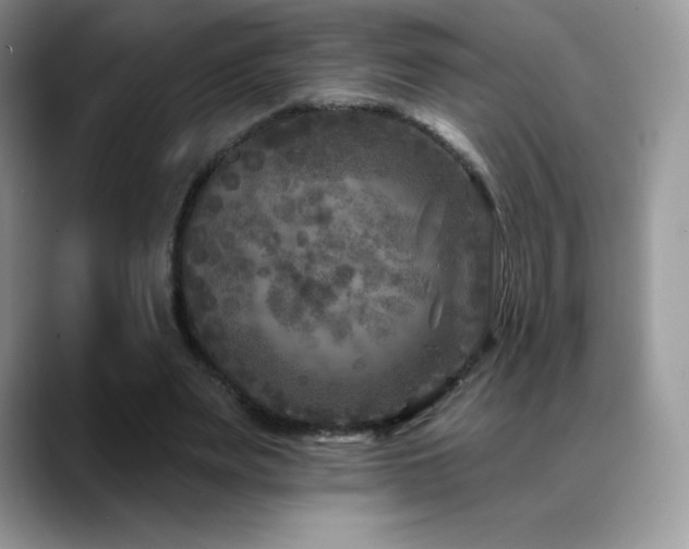X0000088920487200706081402