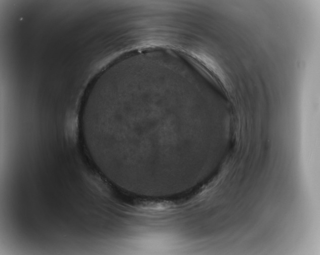 X0000088920488200706081402