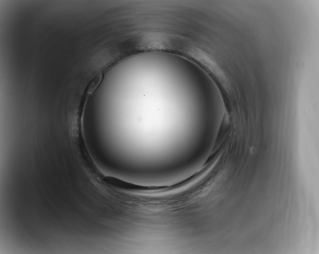 X0000088920489200706081402