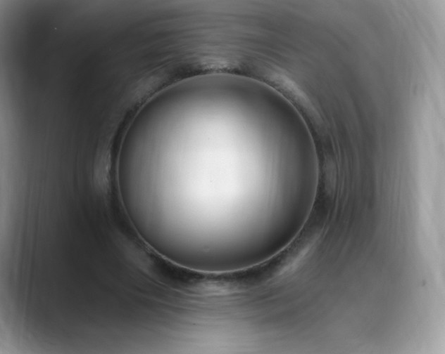 X0000088920490200706081402