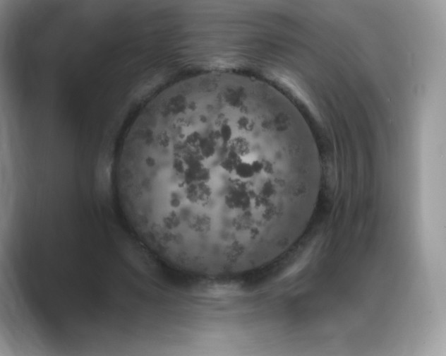 X0000088920491200706081402
