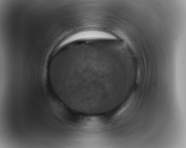 X0000088920492200706081402