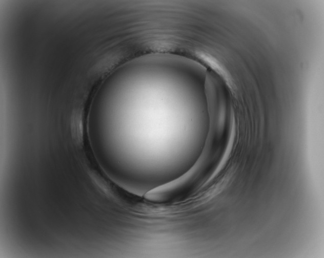 X0000088920493200706081402