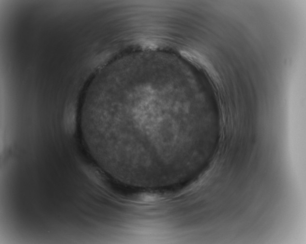 X0000088920496200706081402