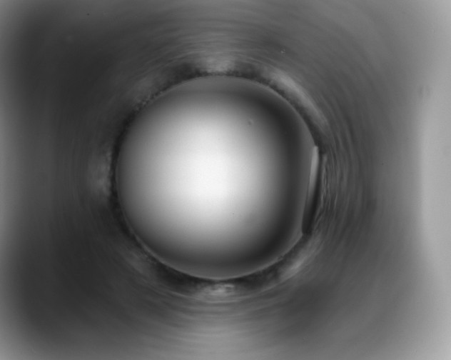 X0000088920497200706081402