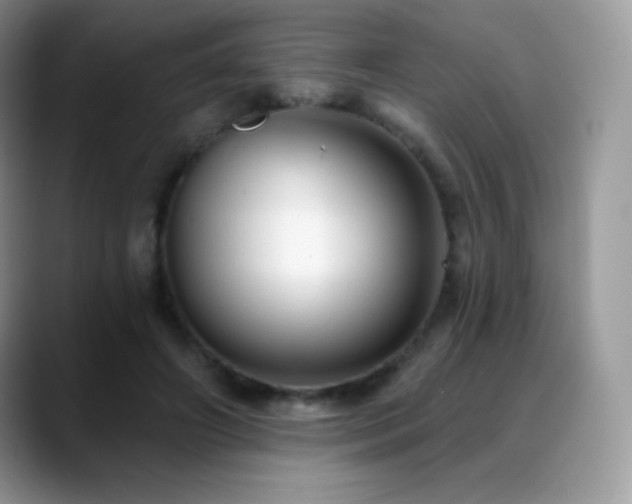 X0000088920498200706081402