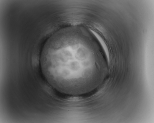 X0000088920499200706081402