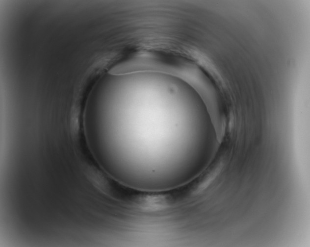 X0000088920501200706081402