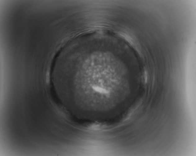 X0000088920504200706081402