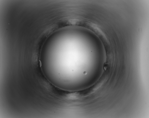 X0000088920505200706081402