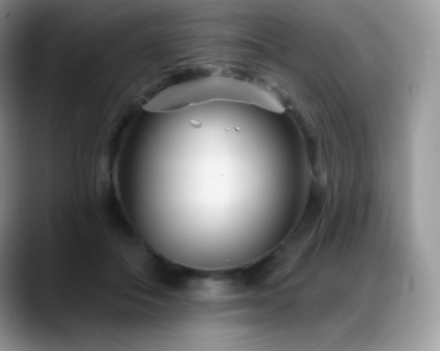 X0000088920506200706081402