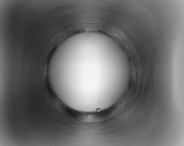 X0000088920507200706081402