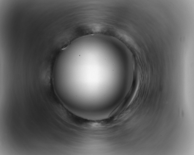 X0000088920509200706081402