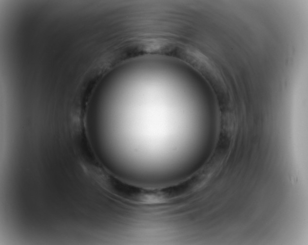 X0000088920510200706081402