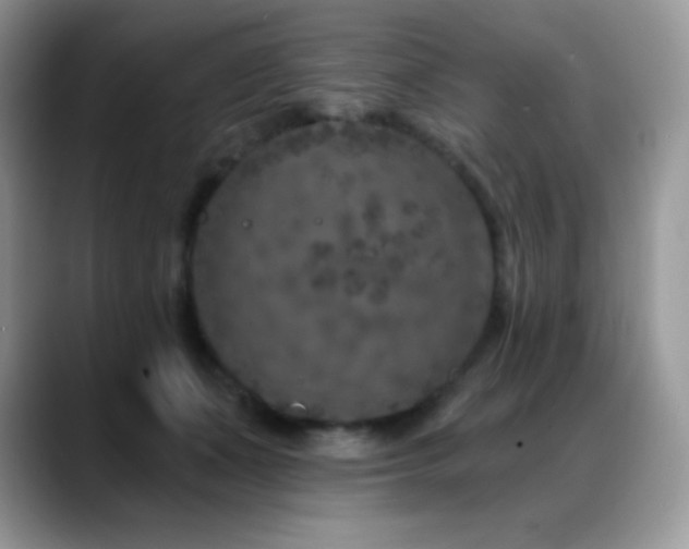 X0000088920511200706081402