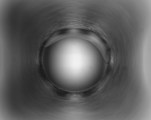 X0000088920512200706081402