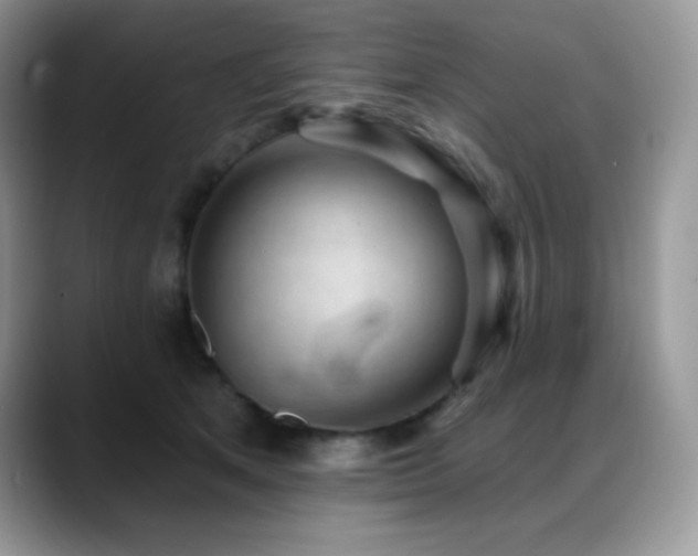 X0000088920513200706081402