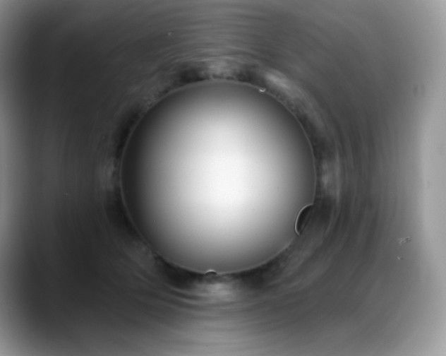 X0000088920514200706081402