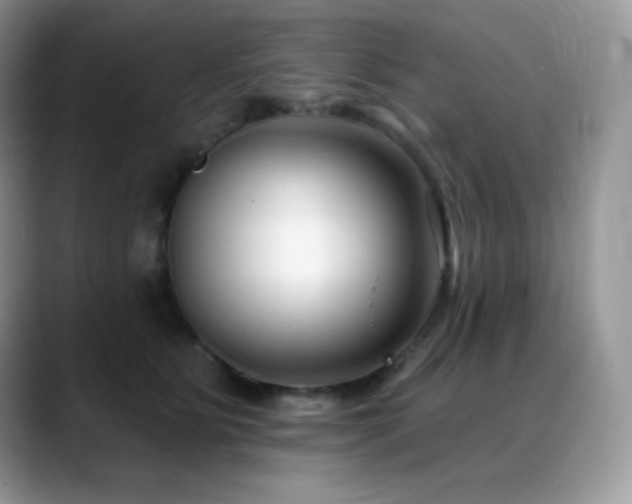 X0000088920515200706081401