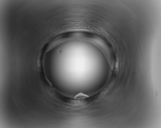 X0000088920516200706081401