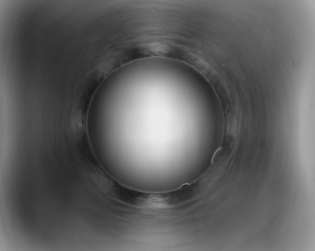 X0000088920518200706081401