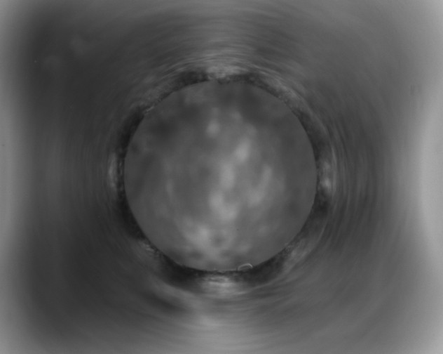 X0000088920519200706081401