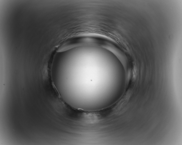 X0000088920520200706081401