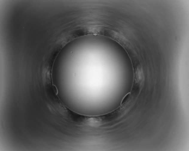 X0000088920522200706081401