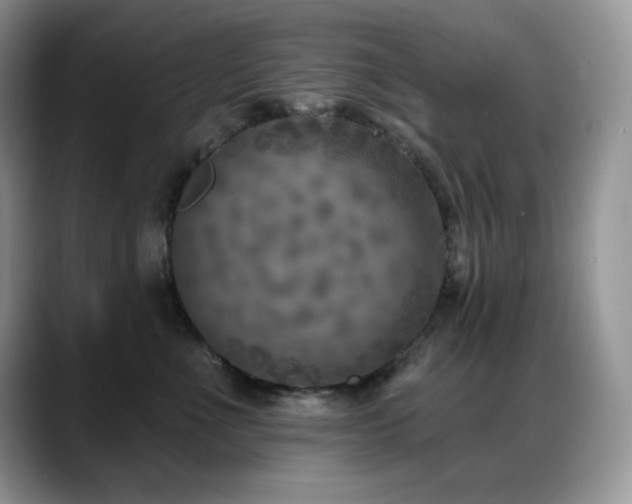 X0000088920523200706081401
