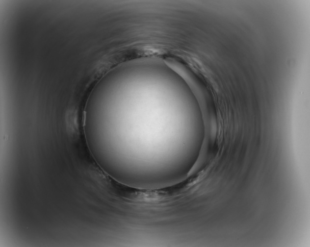X0000088920524200706081401