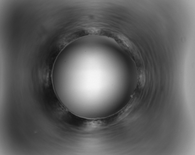X0000088920525200706081401