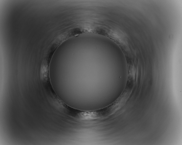 X0000088920526200706081401