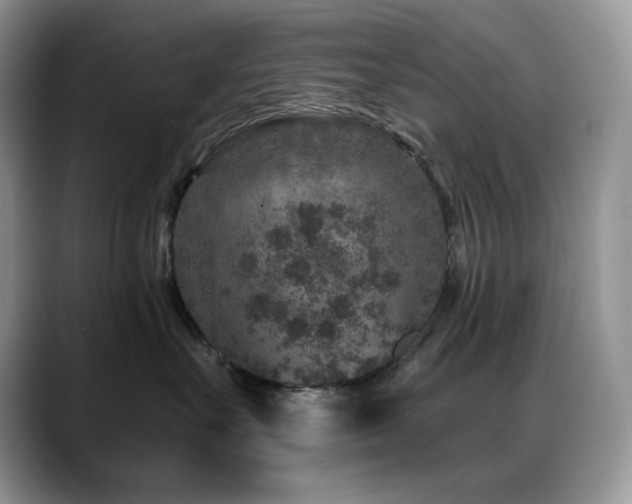 X0000088920527200706081401