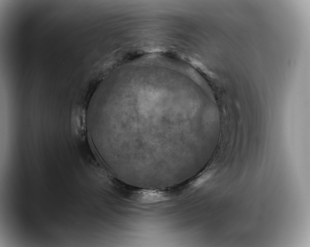 X0000088920528200706081401
