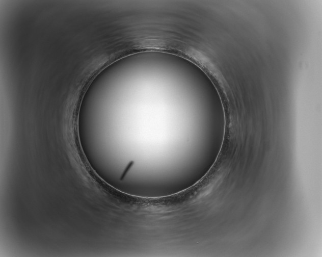 X0000088920529200706081401