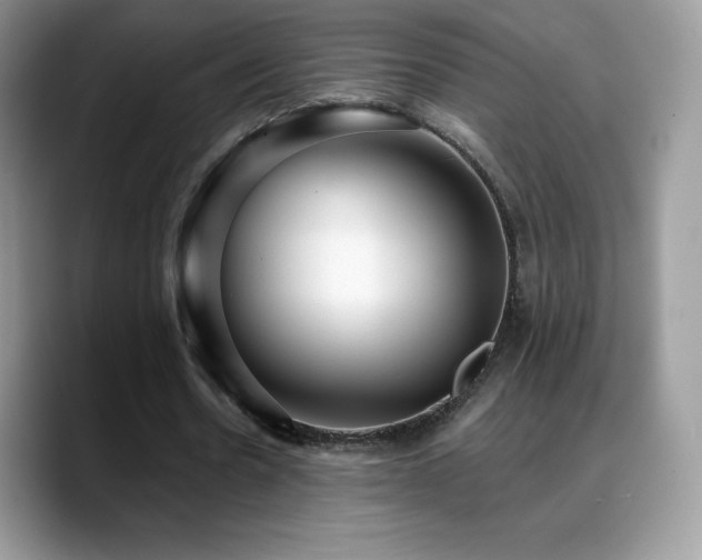 X0000088920530200706081401