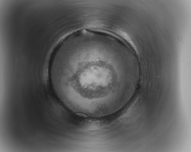 X0000088920531200706081401