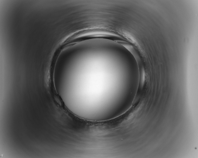X0000088920532200706081401