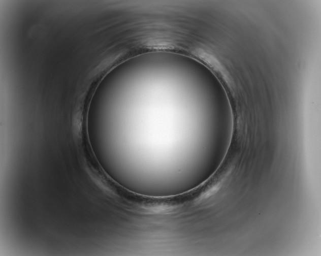 X0000088920533200706081401