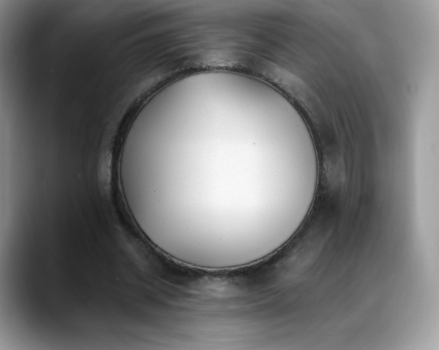 X0000088920534200706081401