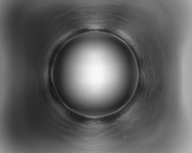 X0000088920535200706081401