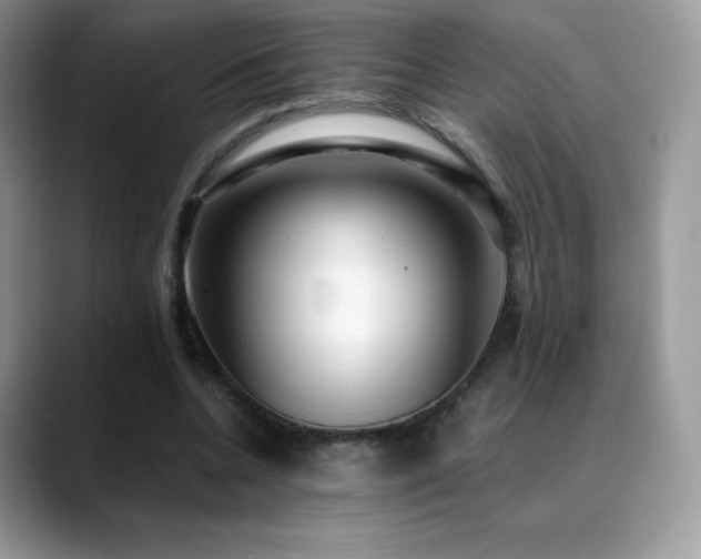 X0000088920536200706081401