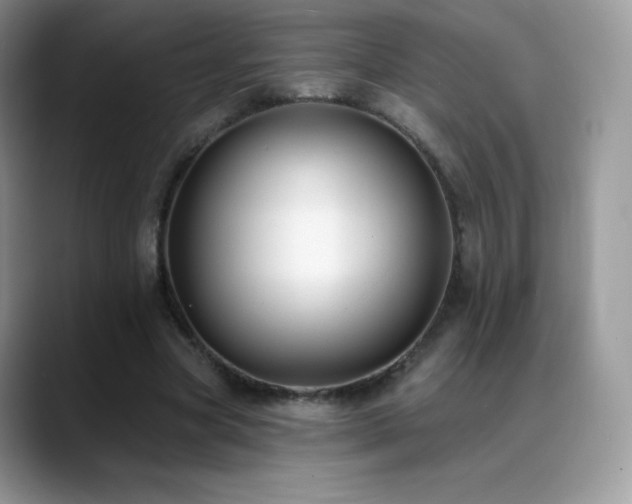 X0000088920537200706081401