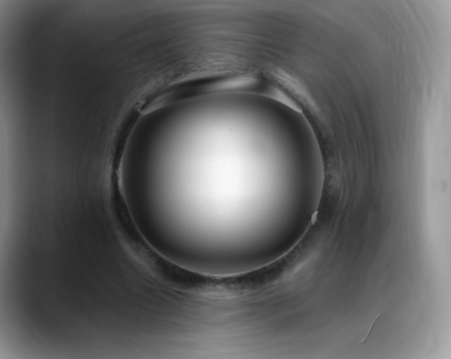 X0000088920538200706081401