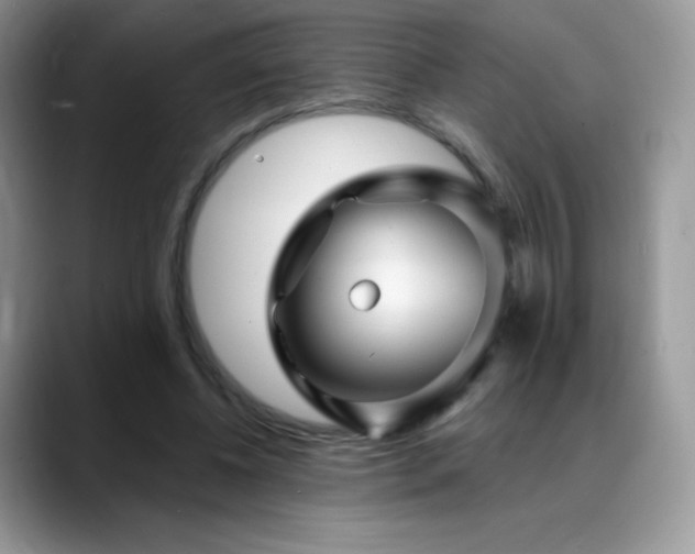 X0000088920540200706081401